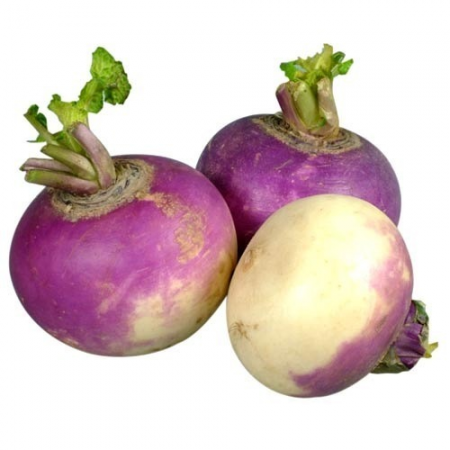 Fresh Turnip - Shaljam - 1 KG