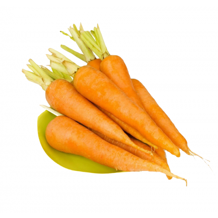 Chinese Farm Fresh Carrots